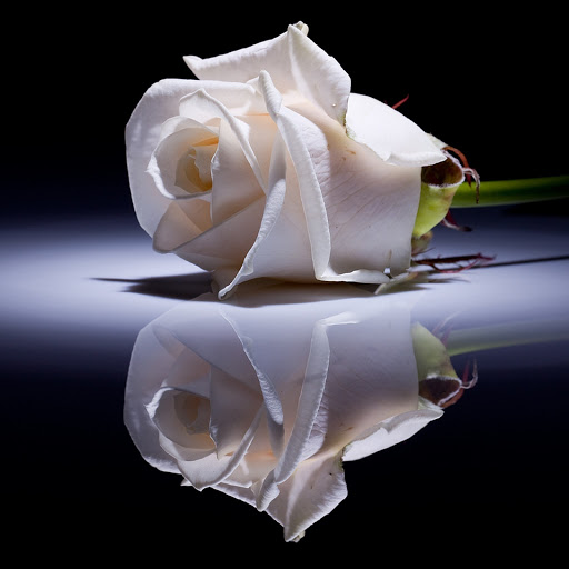 Hd-143102-ascw143102