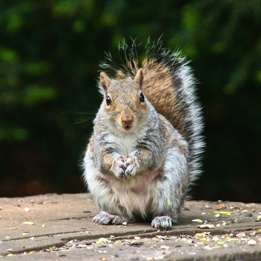 Hd-142879-ascw142879