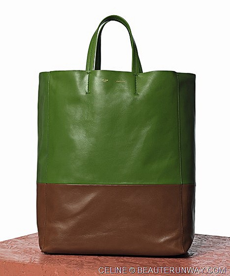 Celine Cabas Bicolor Bag in Green and Brown