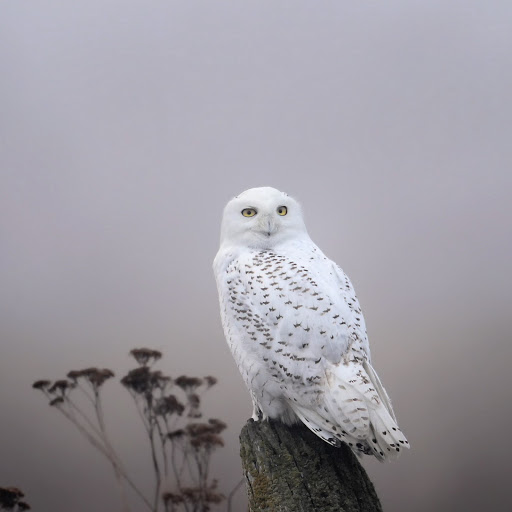 Hd-174898-ascw174898