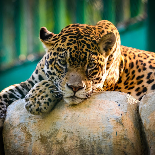 Hd-137092-ascw137092