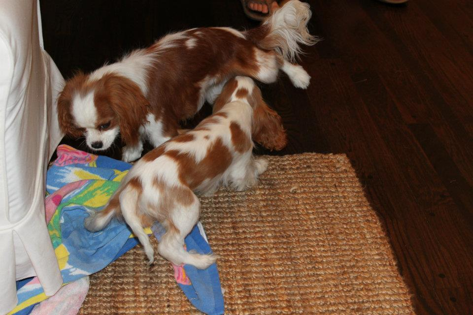 [image%255B18%255D.png]