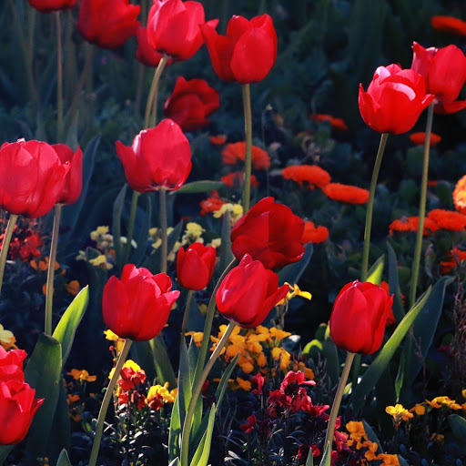 Hd-175057-ascw175057