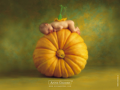 wallpaper anne geddes. Mol - Fotos Anne Ge.