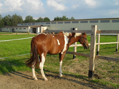 SDC15860.JPG