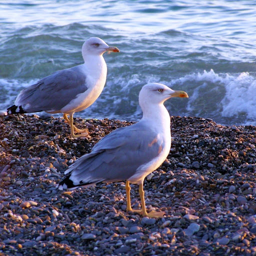 Hd-174099-ascw174099