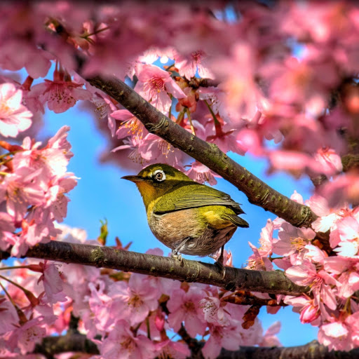 Hd-163084-ascw163084