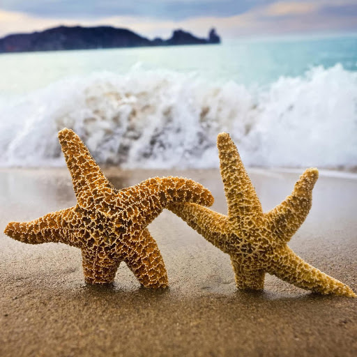 Hd-166173-ascw166173