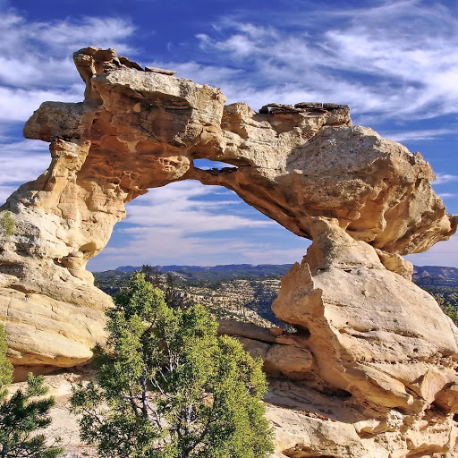 Hd-160025-ascw160025