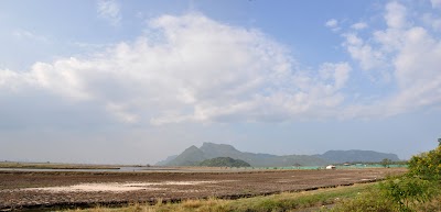 DSC_0798.jpg
