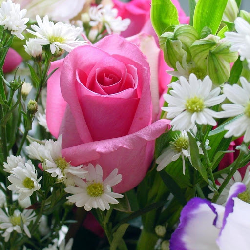 Hd-176988-ascw176988