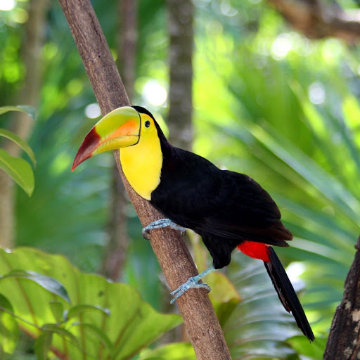 Hd-178575-ascw178575