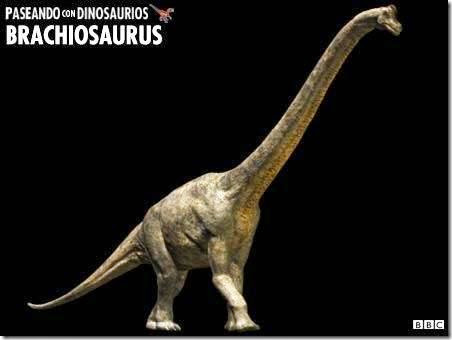 Brachiosaurus PCD