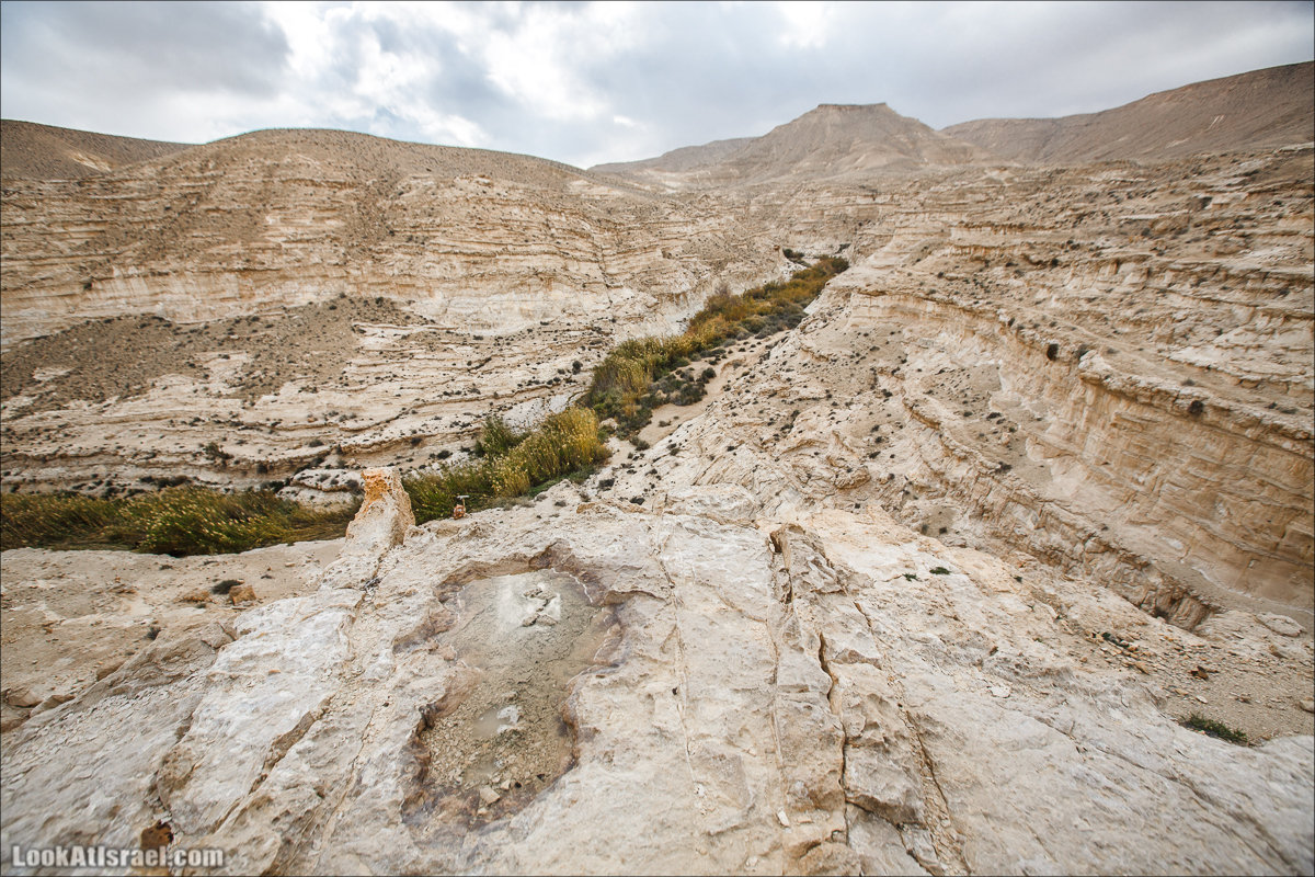 Ручей Акев и источник Эйн Акев в пустыне Негев. LookAtIsrael.com - Фото путешествия по Израилю