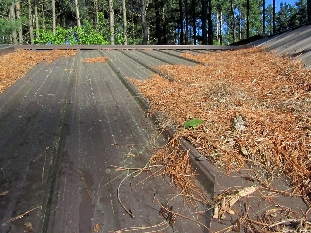 [IMG_0508%255B3%255D.jpg]