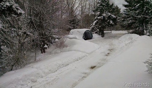26. snowy driveway 2-22-15-cell pic