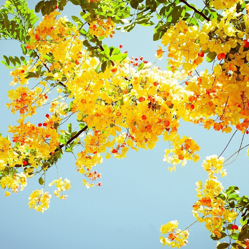 Hd-141265-ascw141265