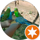 Image Google de Achraf Mahaoui
