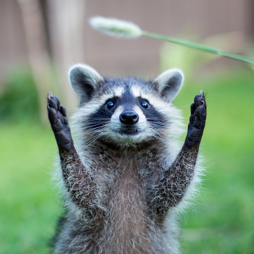 Hd-157704-ascw157704