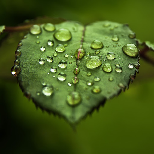 Hd-171154-ascw171154