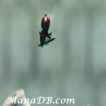 Eega-6.gif