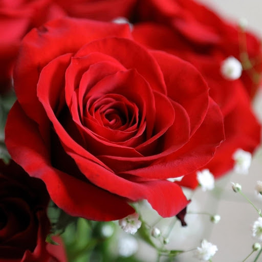 Hd-177025-ascw177025