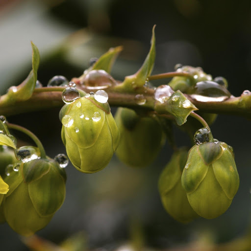 Hd-163808-ascw163808