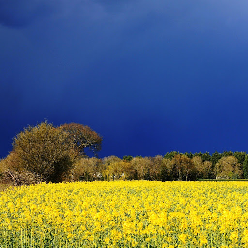 Hd-142109-ascw142109