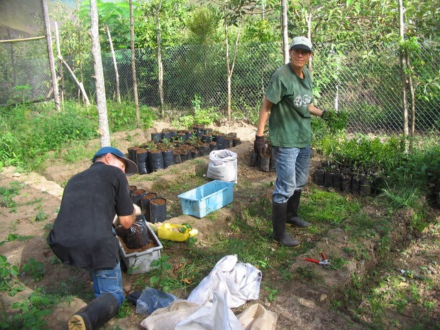 Volunteers-Parque-Bambú-Ecuador