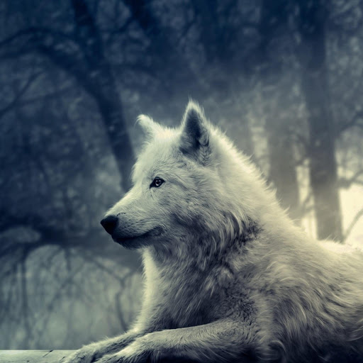 Hd-173758-ascw173758