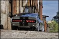 Eleanor-Mustang-9
