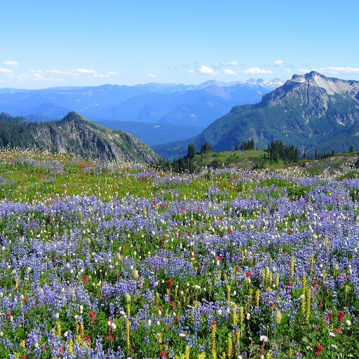 Hd-145518-ascw145518