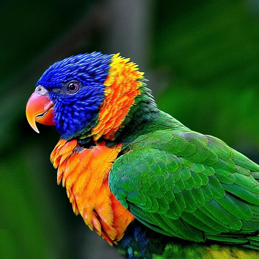 Hd-177779-ascw177779