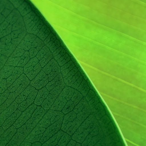 Hd-131699-ascw131699