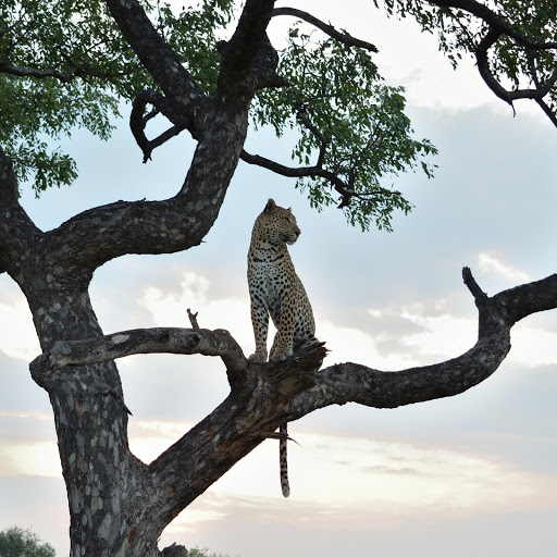 Hd-164392-ascw164392