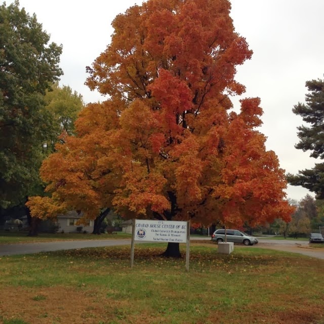 [2013-10-30_1383141484%255B3%255D.jpg]