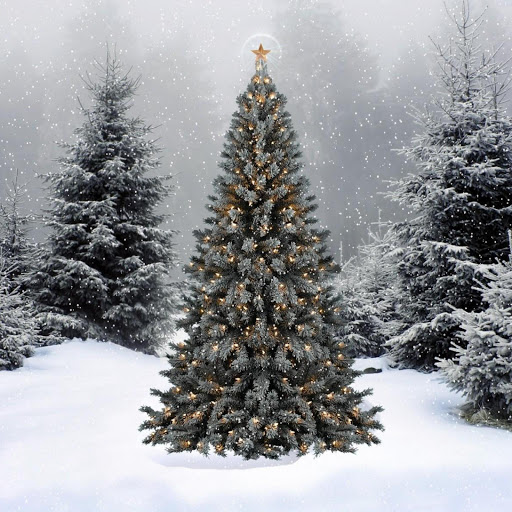 Hd-131952-ascw131952