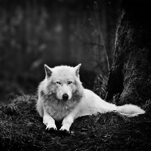 Hd-173396-ascw173396