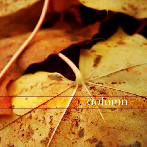 Hd-170689-ascw170689