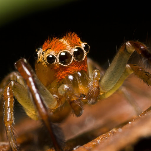 Hd-167903-ascw167903