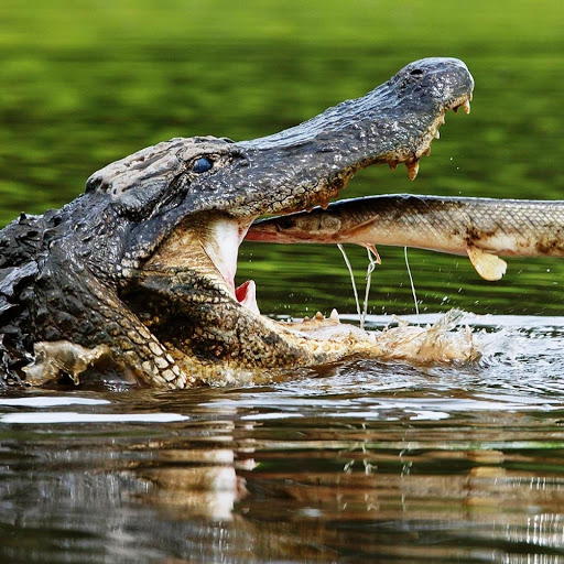 Hd-161721-ascw161721