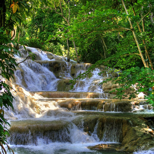 Hd-170776-ascw170776