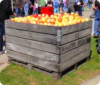 1a-apple-cart