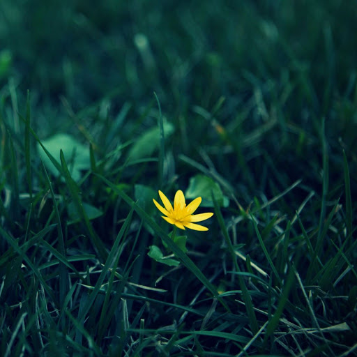 Hd-173743-ascw173743