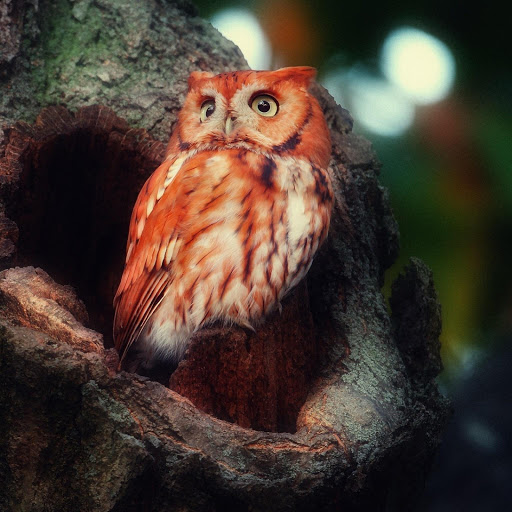 Hd-144693-ascw144693