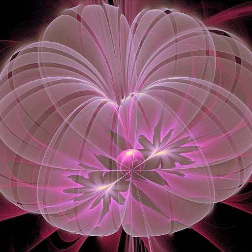 Hd-155616-ascw155616