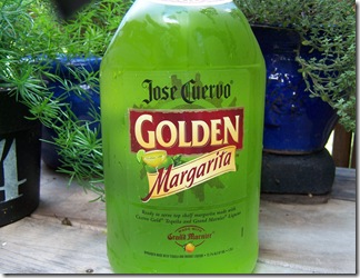 Margarita's in Jelly Jars 017