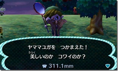 HNI_0029 HNI_0029