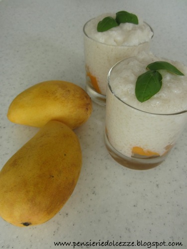 Coconut Mango Tapioca Pudding 2