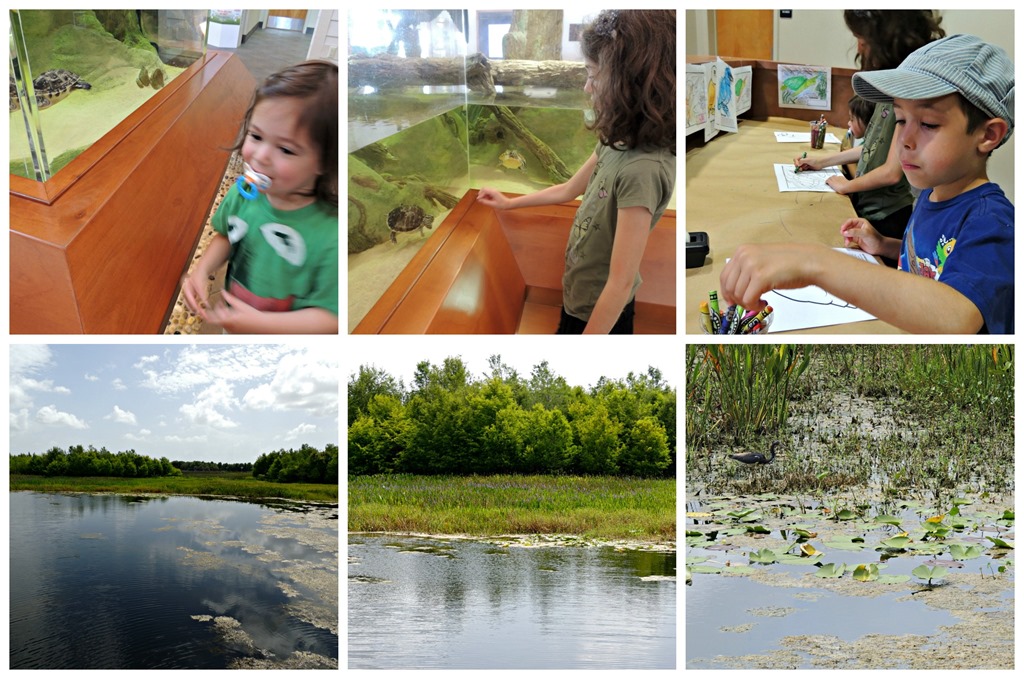 [nature5%255B3%255D.jpg]